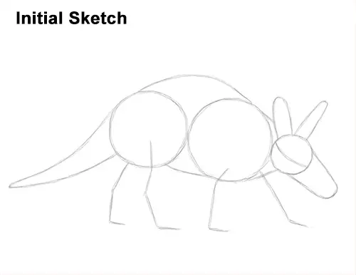 How to Draw an Aardvark