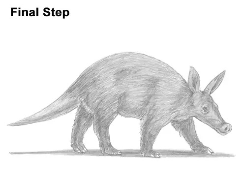 How to Draw an Aardvark