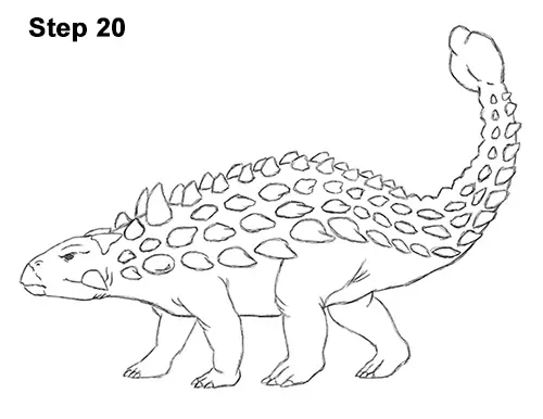 Ankylosaurus Drawing