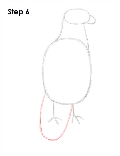Bald Eagle Drawing 6 Draw Bald Eagle 6