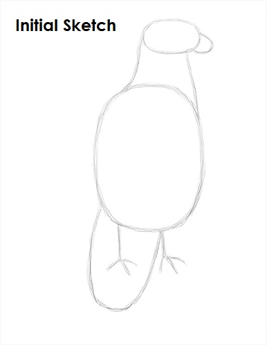 Bald Eagle Drawing Sketch Draw Bald Eagle Sketch
