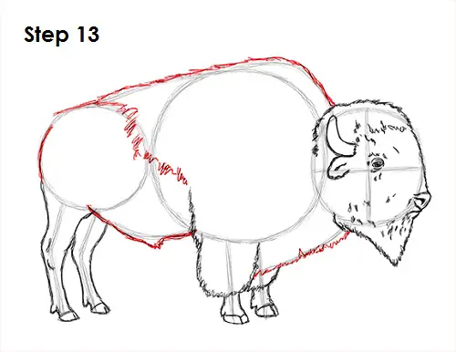 Bison Drawing 13 Draw Bison 13