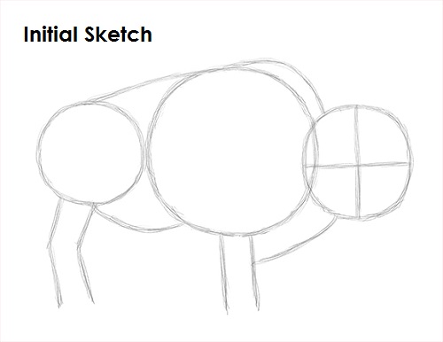 Bison Drawing Sketch Draw Bison Sketch
