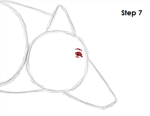 Boar Drawing 7 Draw Boar 7