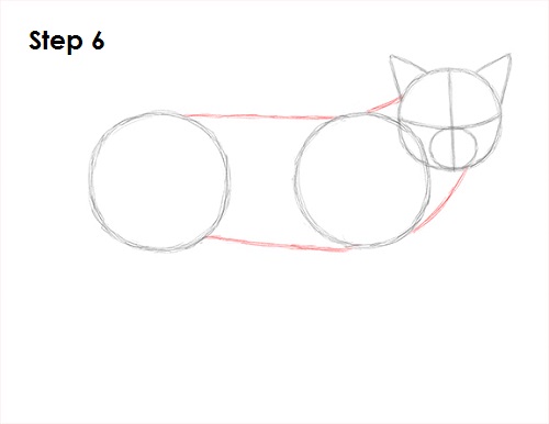 Bobcat Drawing 6 Draw Bobcat 6