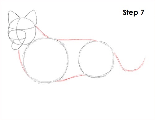 Border Collie Dog 7 Draw Border Collie 7