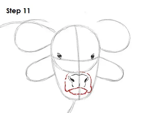African Cape Buffalo 11 Draw African Cape Buffalo 11