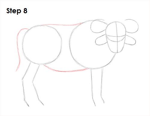 African Cape Buffalo 8 Draw African Cape Buffalo 8