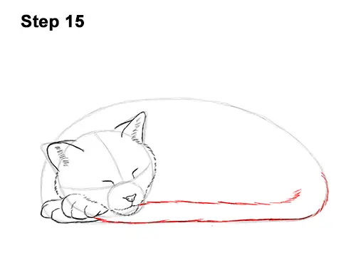 How to Draw a Cat Sleeping VIDEO & Step-by-Step Pictures