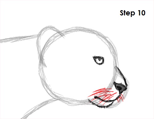 How to Draw a Cheetah