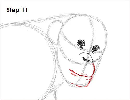 Chimpanzee Drawing 11 Draw Chipmanzee 11