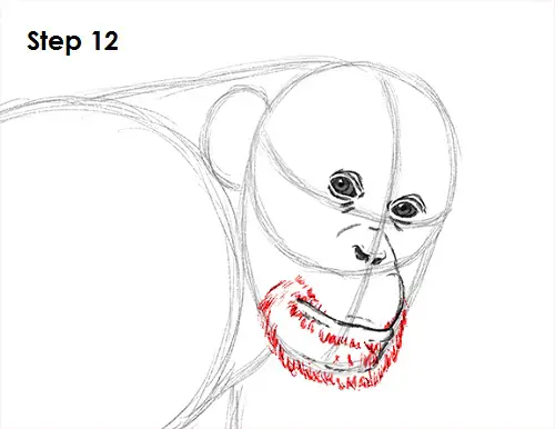 Chimpanzee Drawing 12 Draw Chipmanzee 12