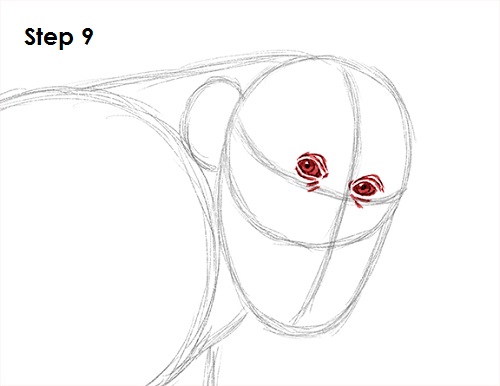 Chimpanzee Drawing 9 Draw Chipmanzee 9