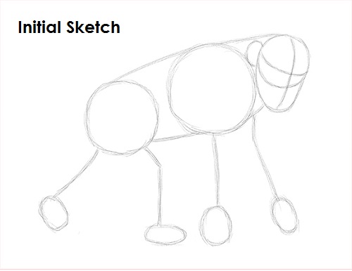 Chimpanzee Sketch 1 Draw Chipmanzee Sketch