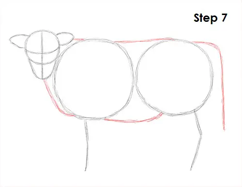 Cow Drawing 7 Draw Cow 7