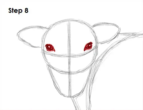 Cow Drawing 8 Draw Cow 8