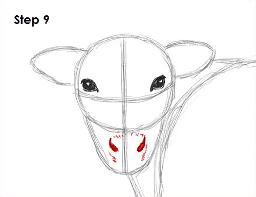 Cow Drawing 9 Draw Cow 9