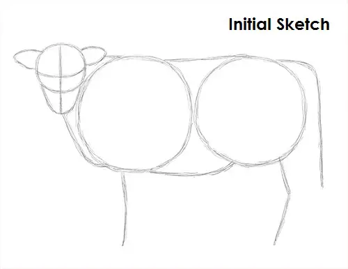 Cow Drawing Sketch Draw Cow Sketch