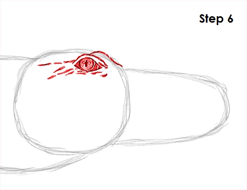 Crocodile Drawing 6 Draw Crocodile 6