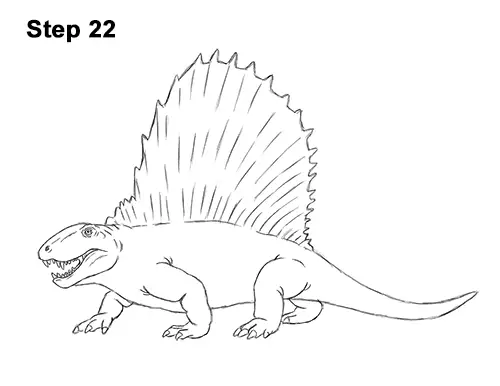 How To Draw A Dimetrodon Video And Step By Step Pictures