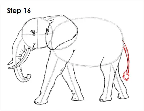 elephant sketch elephant sketch