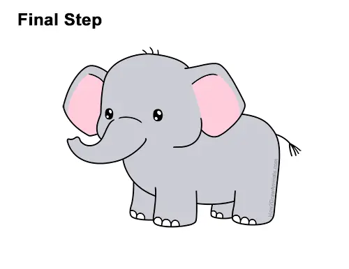 How to Draw a Elephant (Cartoon) VIDEO & Step-by-Step Pictures