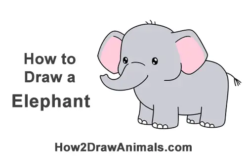 How to Draw a Elephant Cartoon VIDEO StepbyStep Pictures