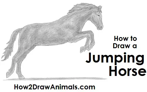 How to Draw a Horse Jumping