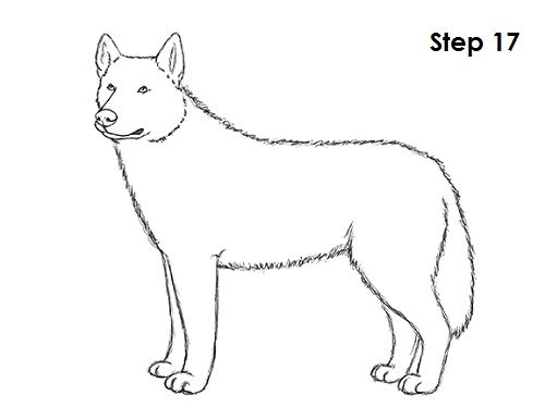 quick and easy dog coloring pages - photo #50