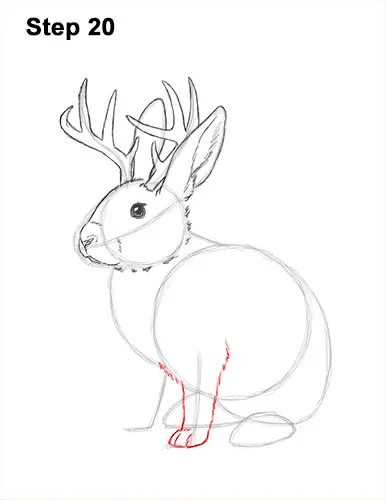 How to Draw a Jackalope VIDEO & Step-by-Step Pictures