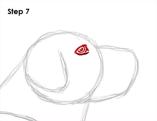 Labrador Retriever Dog 7 Draw Labrador Retriever 7