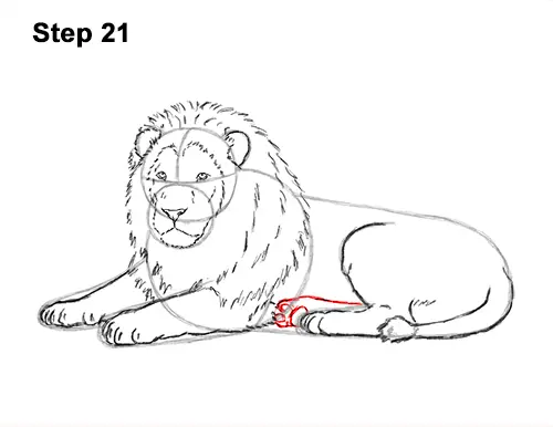 How to Draw a Lion (Color) VIDEO & Step-by-Step Pictures