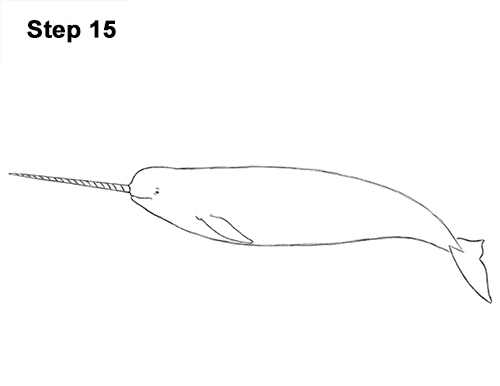 How to Draw a Narwhal