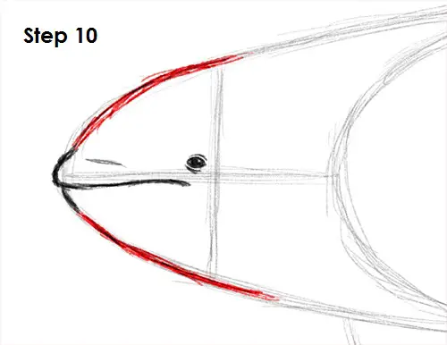 Killer Whale Drawing 10 Draw Orca 10