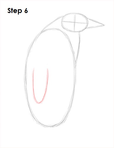 Penguin Drawing 6 Draw Penguin 6