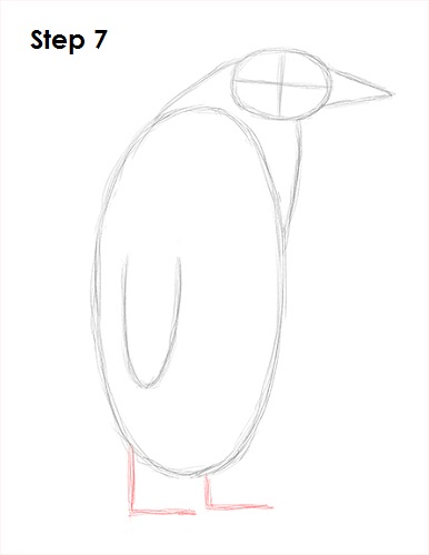 Penguin Drawing 7 Draw Penguin 7