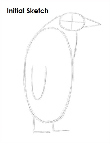 Penguin Drawing Sketch Draw Penguin Sketch