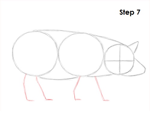Pig Drawing 7 Draw Pig 7
