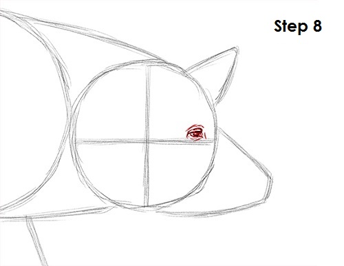 Pig Drawing 8 Draw Pig 8