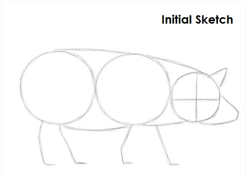 Pig Drawing Sketch Draw Pig Sketch
