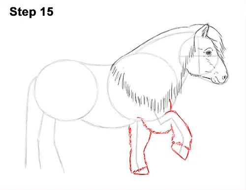 How to Draw a Pony