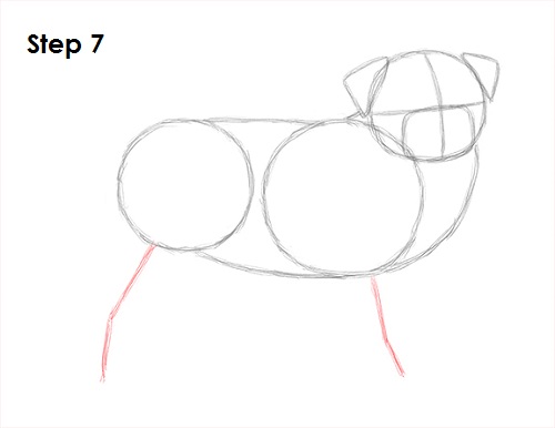 Pug Drawing 7 Draw Pug Drawing 7