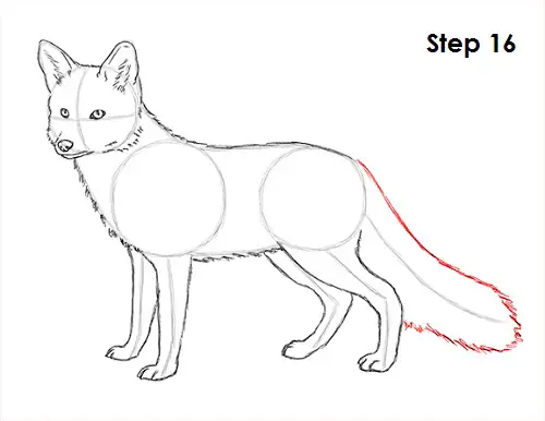 How to Draw a Fox Red Fox