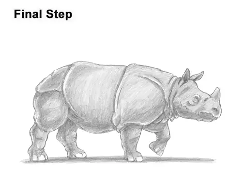 bushman rhinoceros drawing south africa