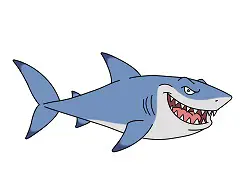 Image result for cartoon shark