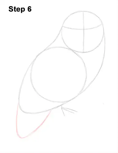 How to Draw a Snowy Owl