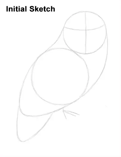 How to Draw a Snowy Owl