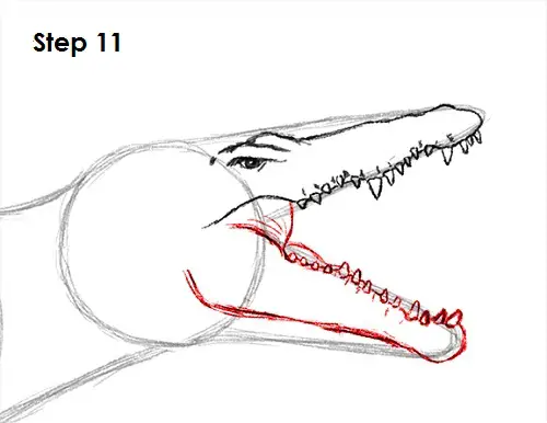 Spinosaurus Dinosaur Drawing 11 Draw Spinosaurus Dinosaur 11