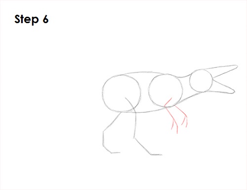 Spinosaurus Dinosaur Drawing 6 Draw Spinosaurus Dinosaur 6