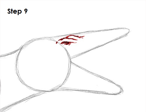 Spinosaurus Dinosaur Drawing 9 Draw Spinosaurus Dinosaur 9